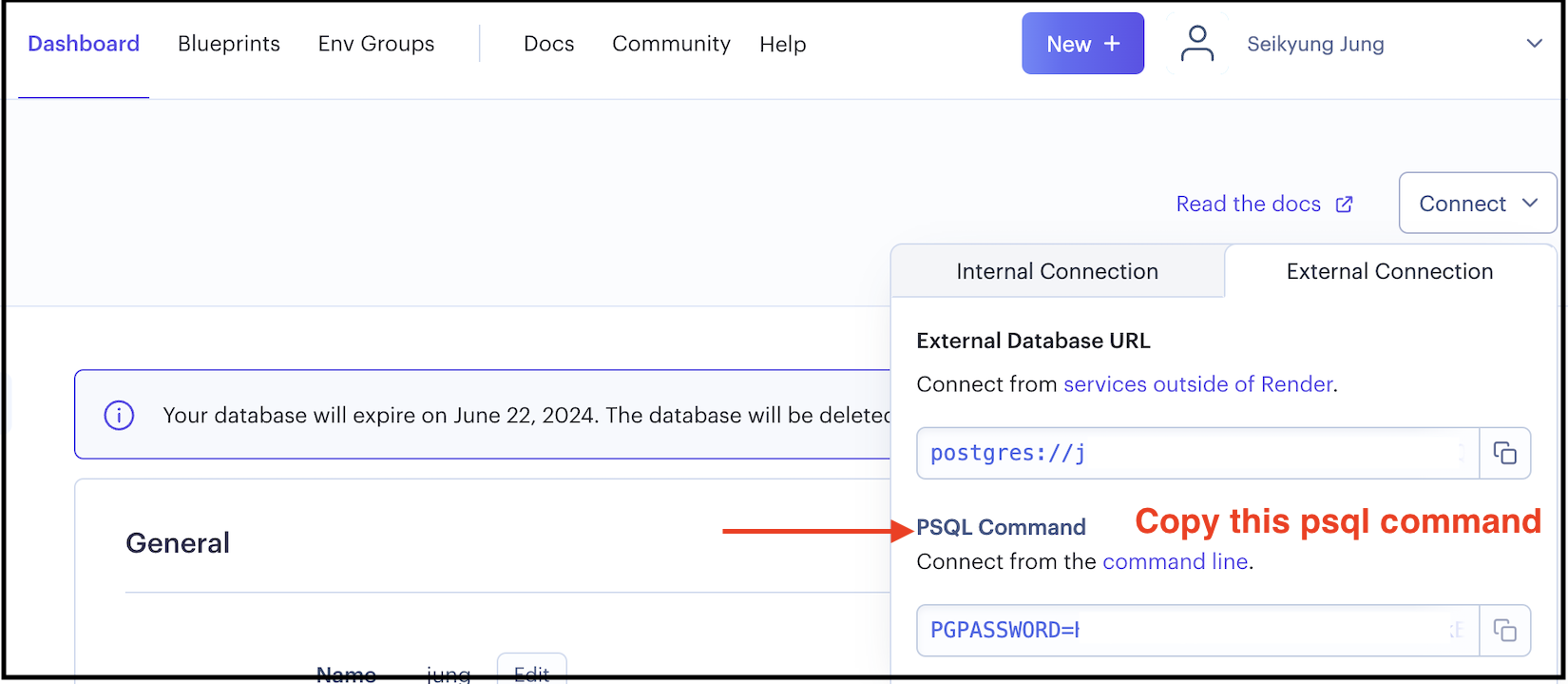psql command to access remote database